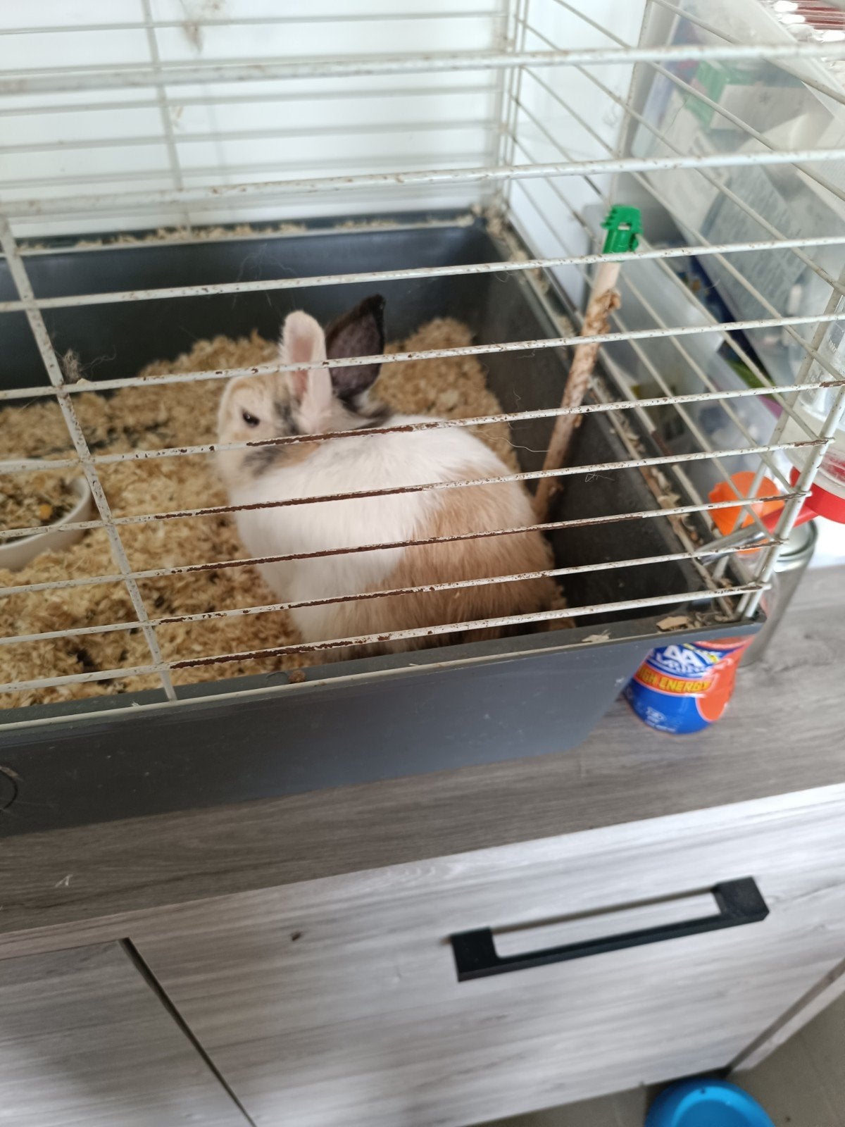 te koop