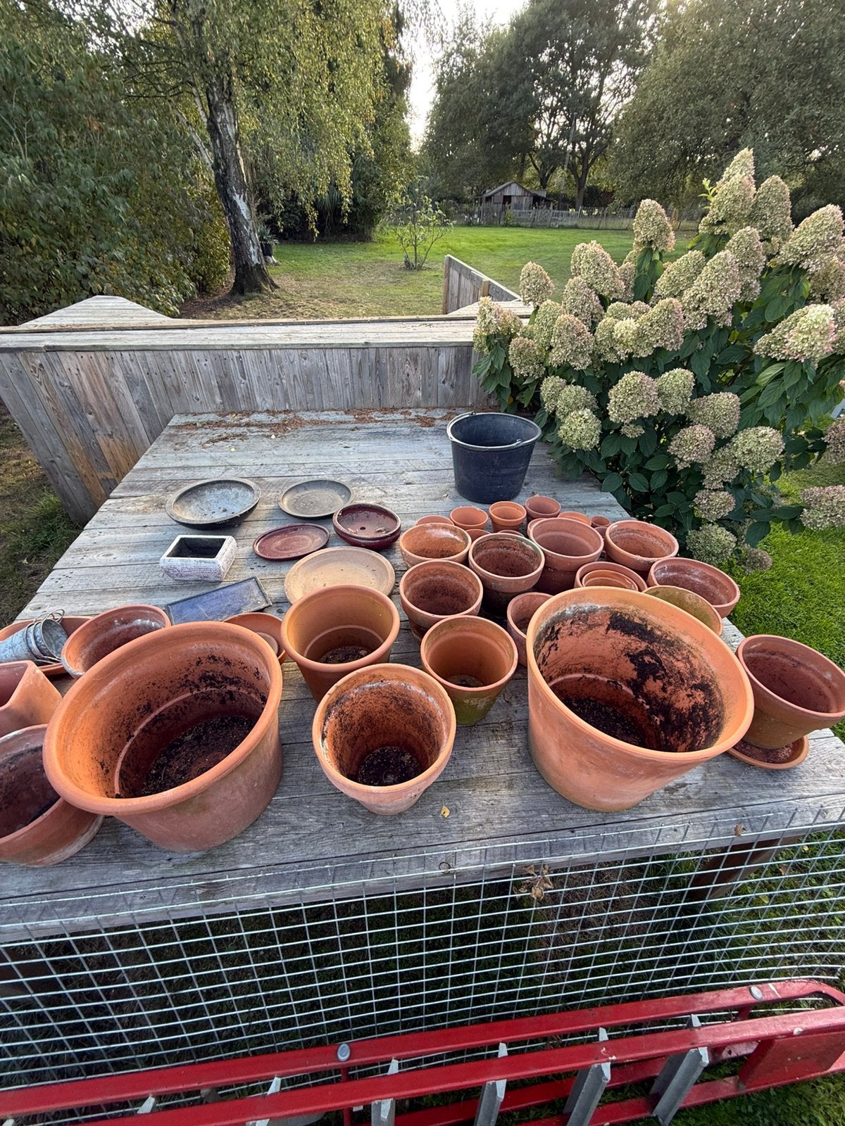 Grote partij terracotta bloempotten – diverse maten, Ophalen, Zo goed als nieuw, Terracotta, Binnen