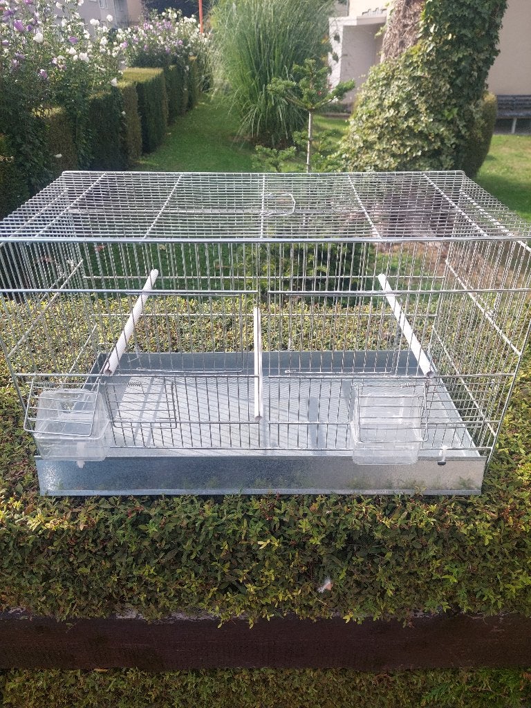 Cages oiseaux, Enlèvement