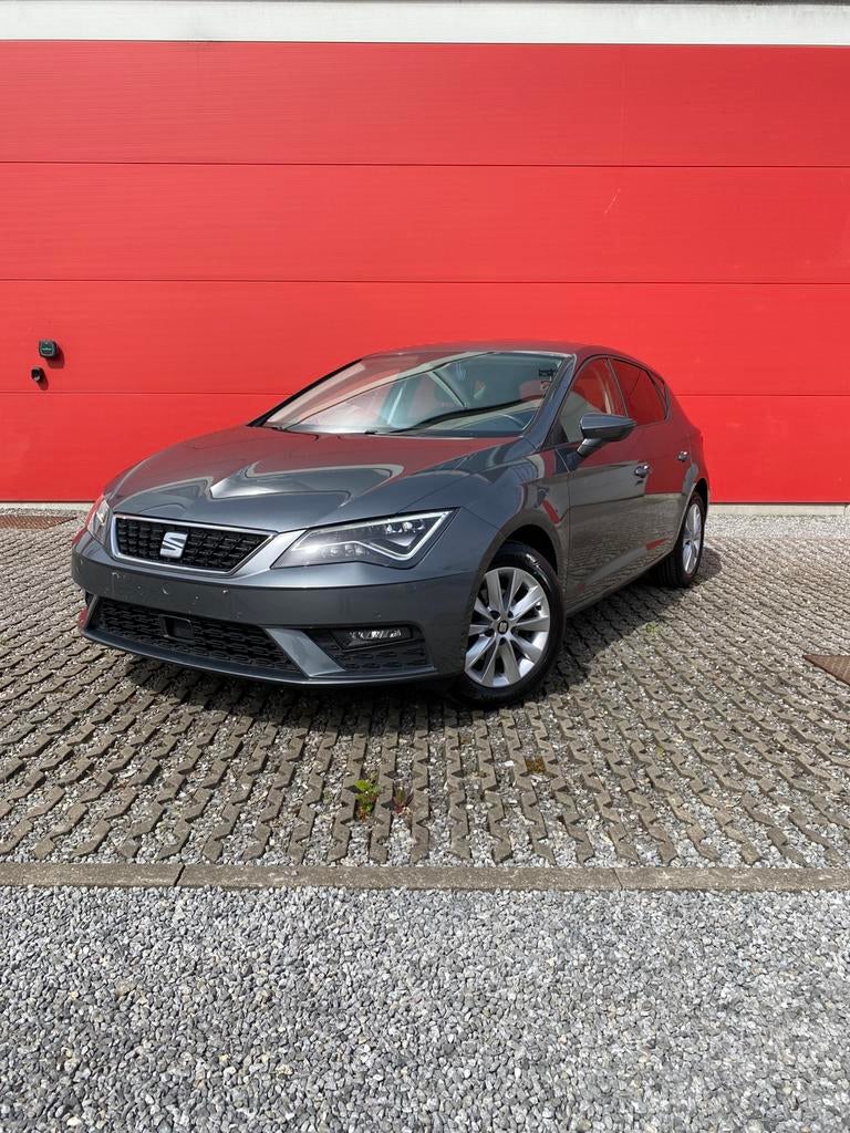 Seat Leon, Argent ou Gris, Achat, Euro 6, Entreprise