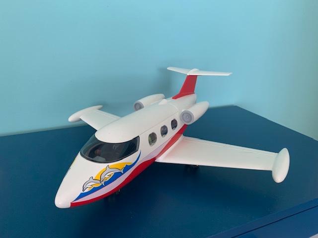 Avion PLAYMOBIL 2014, Enlèvement