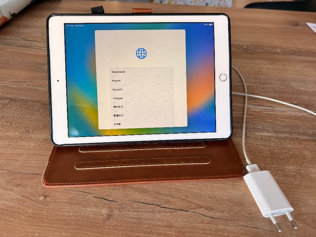 iPad, Computers en Software, Apple iPads, Gebruikt, Apple iPad, 128 GB, Wi-Fi en Mobiel internet