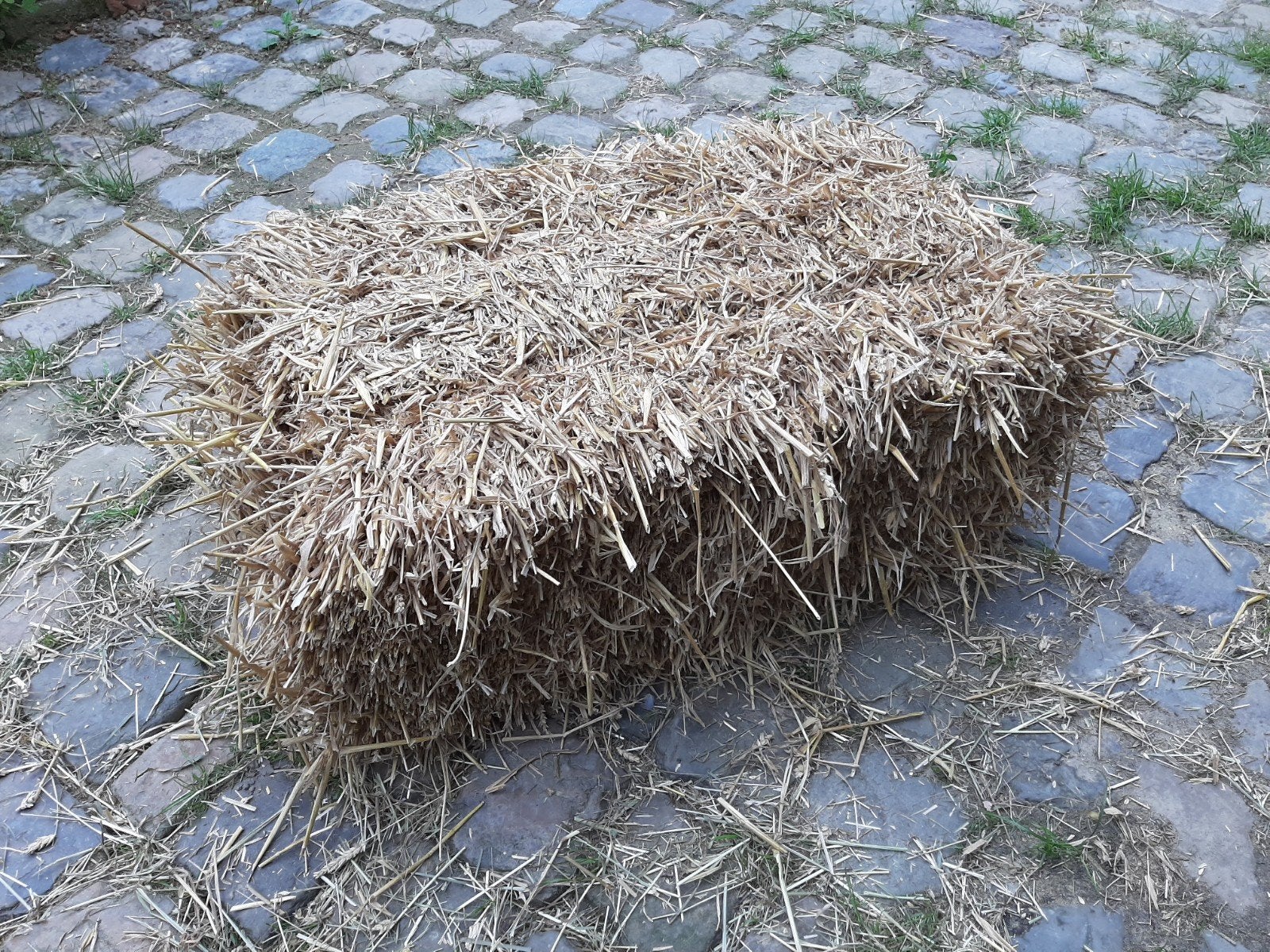 Paille, Animaux & Accessoires, Nourriture pour Animaux