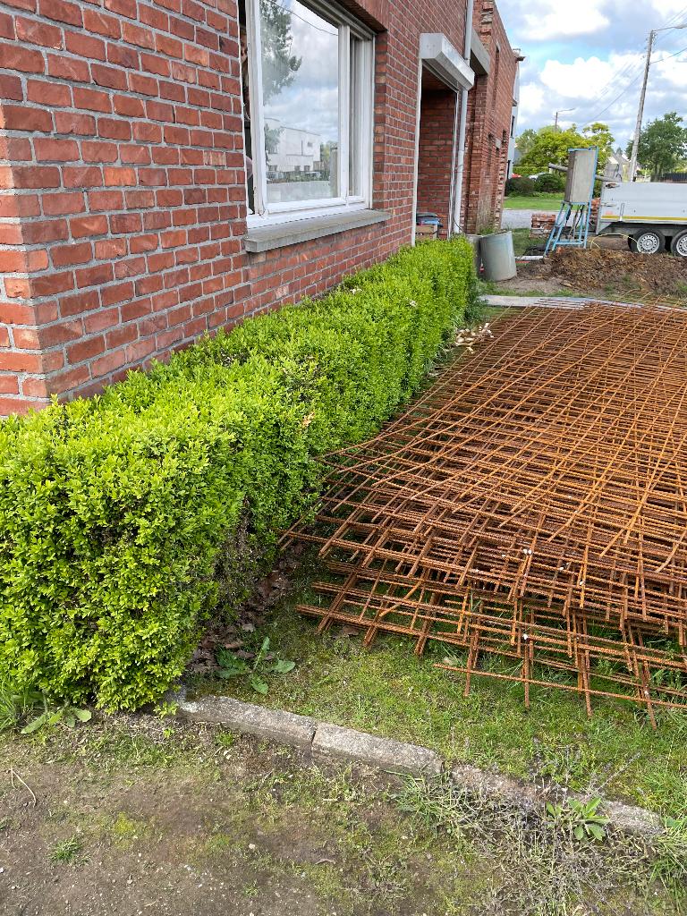 Buxus haag gratis, Tuin en Terras, Ophalen, Buxus, Haag