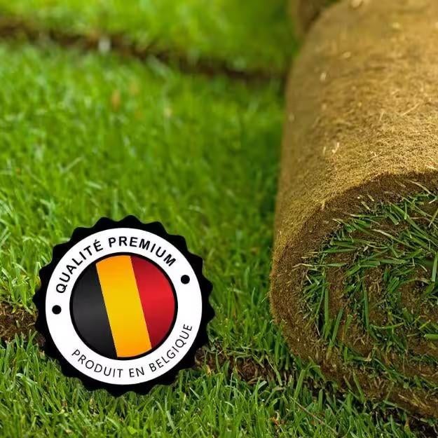 Gazon naturel en rouleaux