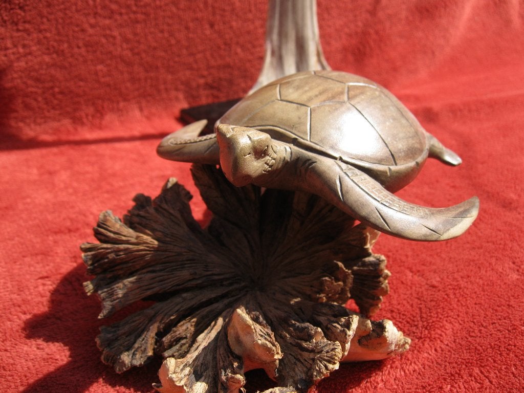 Mangrovesculptuur seaturtle zeeschildpad houtsculptuur, Ophalen