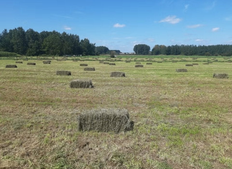 kleine balen Hooi 2026, Dieren en Toebehoren, Ophalen