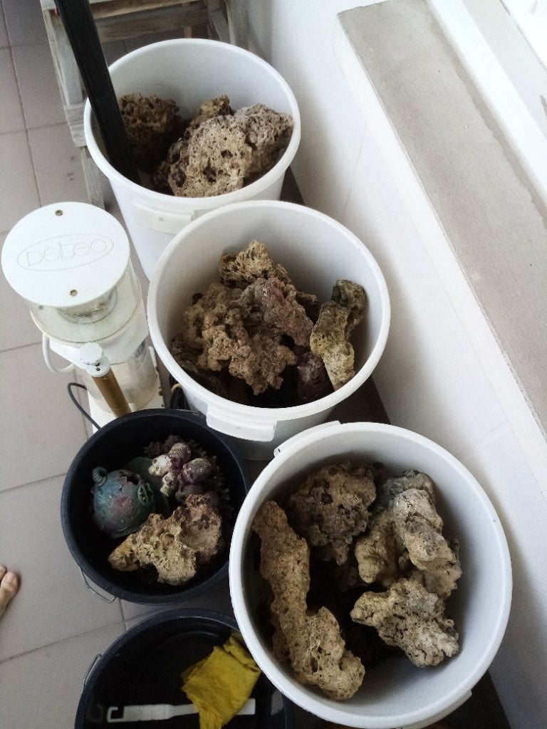 Zeeaquarium levende stenen, Dieren en Toebehoren, Ophalen