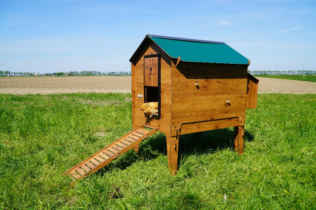 Trespa Kippenhok Cucciolotta Classic XL | Op Pootjes, Ophalen of Verzenden