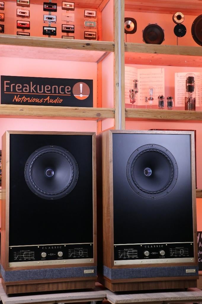 Fyne Classic XII / 12 inch INRUIL? Groot, groter, grootst., Enlèvement ou Envoi, Comme neuf, 120 watts ou plus