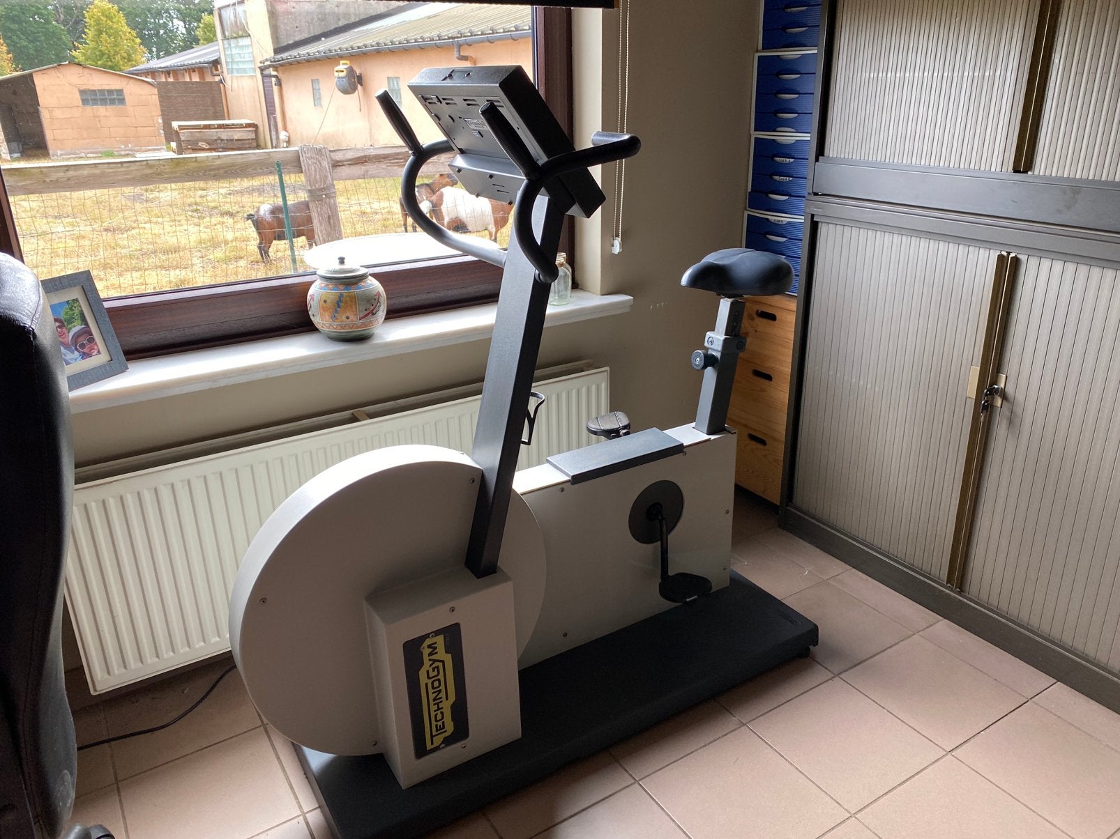 Technogym bike hometrainer, Ophalen, Gebruikt, Benen, Hometrainer
