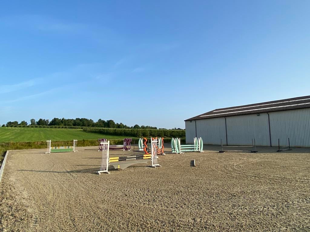 Trainingsstal / ruiter aangeboden, Dieren en Toebehoren