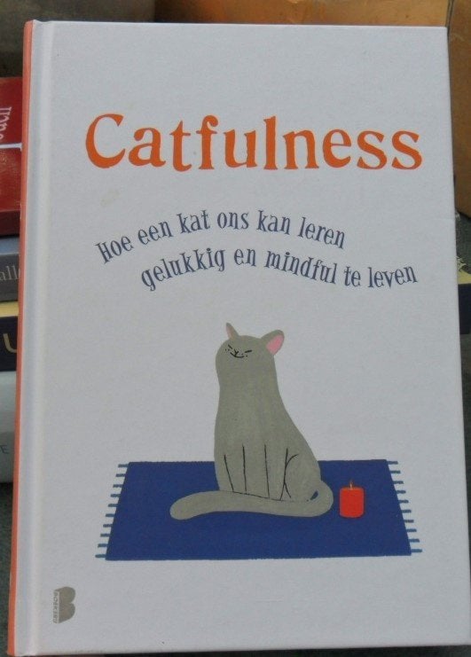 Catfulness, hoe een kat ons kan leren gelukkig en mindful, Livres, Animaux & Animaux domestiques, Envoi, Comme neuf, Chats
