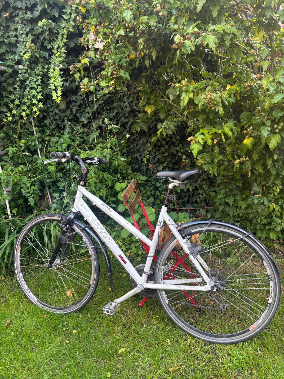 Fiets - Norta Road, Ophalen, Gebruikt