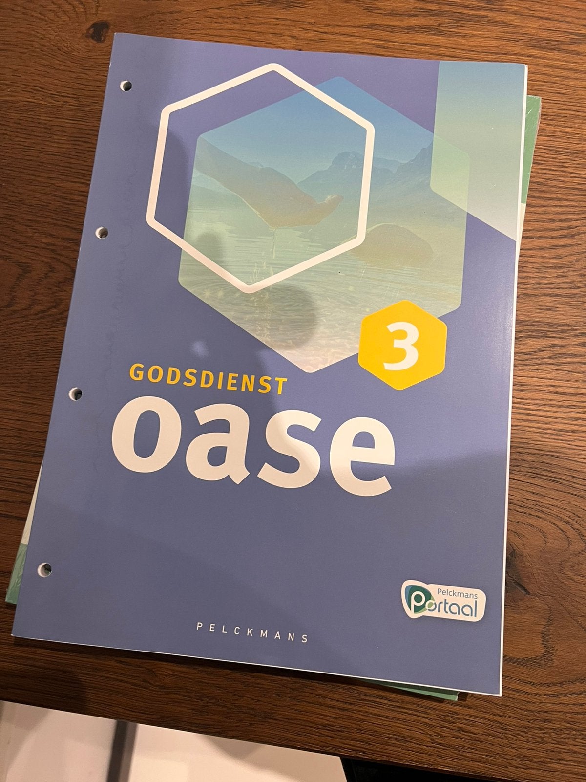 Oase 3 Leerwerkboek godsdienst, Ophalen of Verzenden, Nederlands
