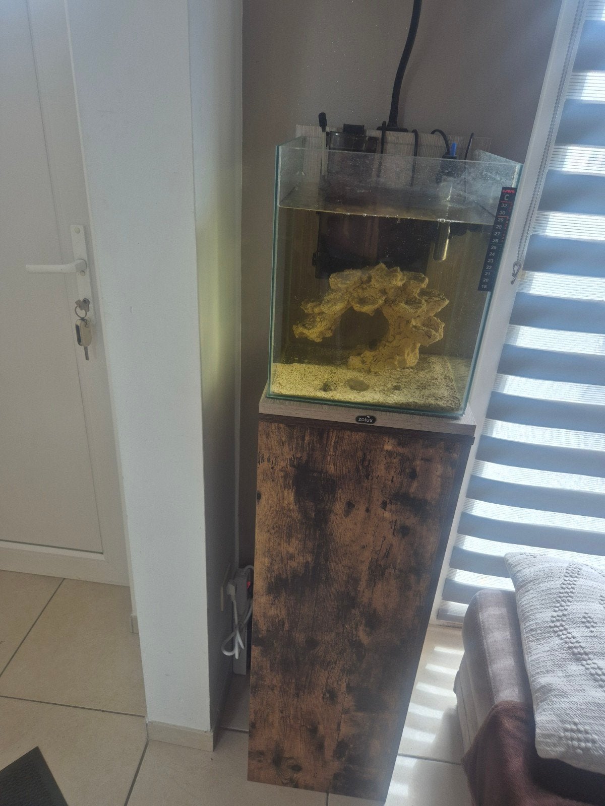 Petit aquarium marin