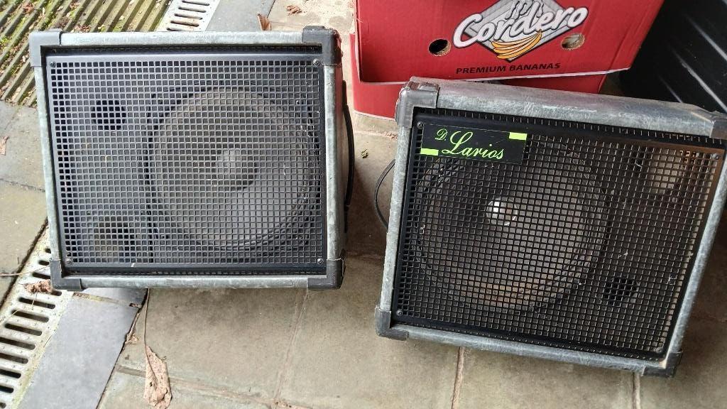 actieve en passieve stagemonitor DLarios, Ophalen