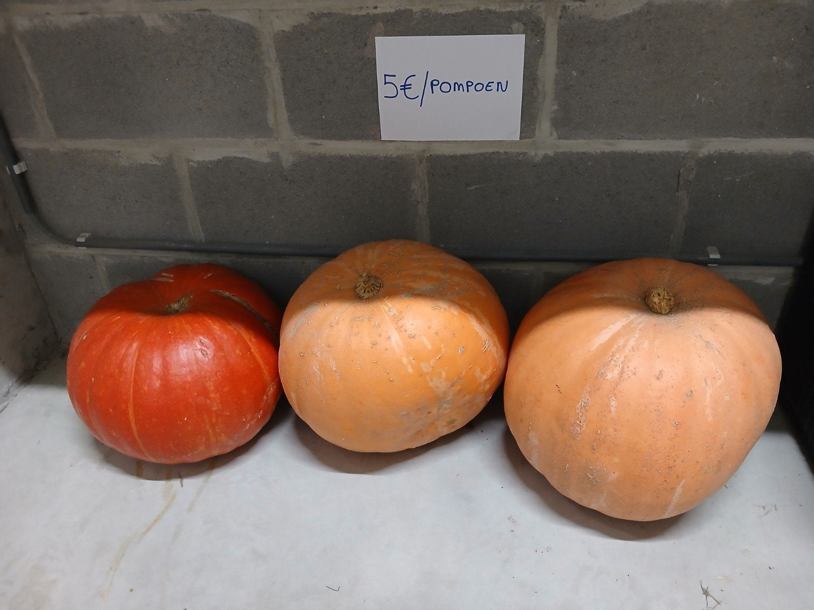 manger des citrouilles à vendre, Enlèvement