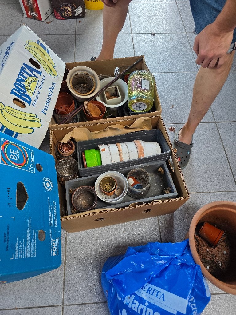 Verschillende potjes voor planten, Ophalen