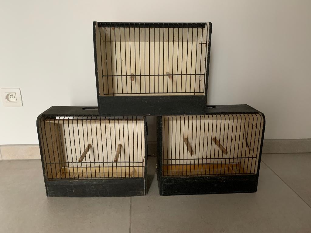 3 cages à canaris pour exposition, Ophalen, Gebruikt, Hout, Broedkooi of Kweekkooi