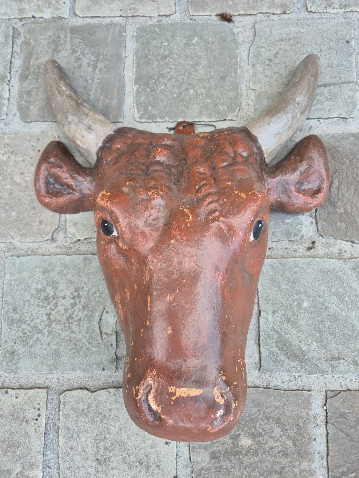 Kop van een koe , decoratie slager, beenhouwer., Ophalen of Verzenden