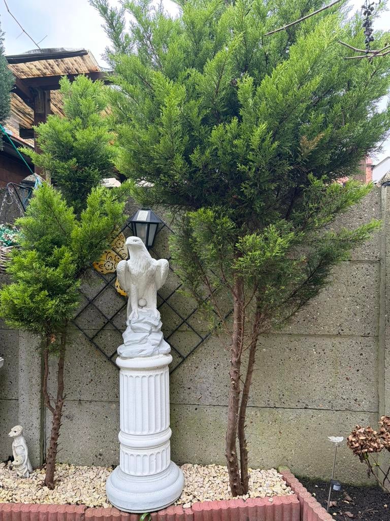 Statue jardin, Jardin & Terrasse, Enlèvement, Comme neuf