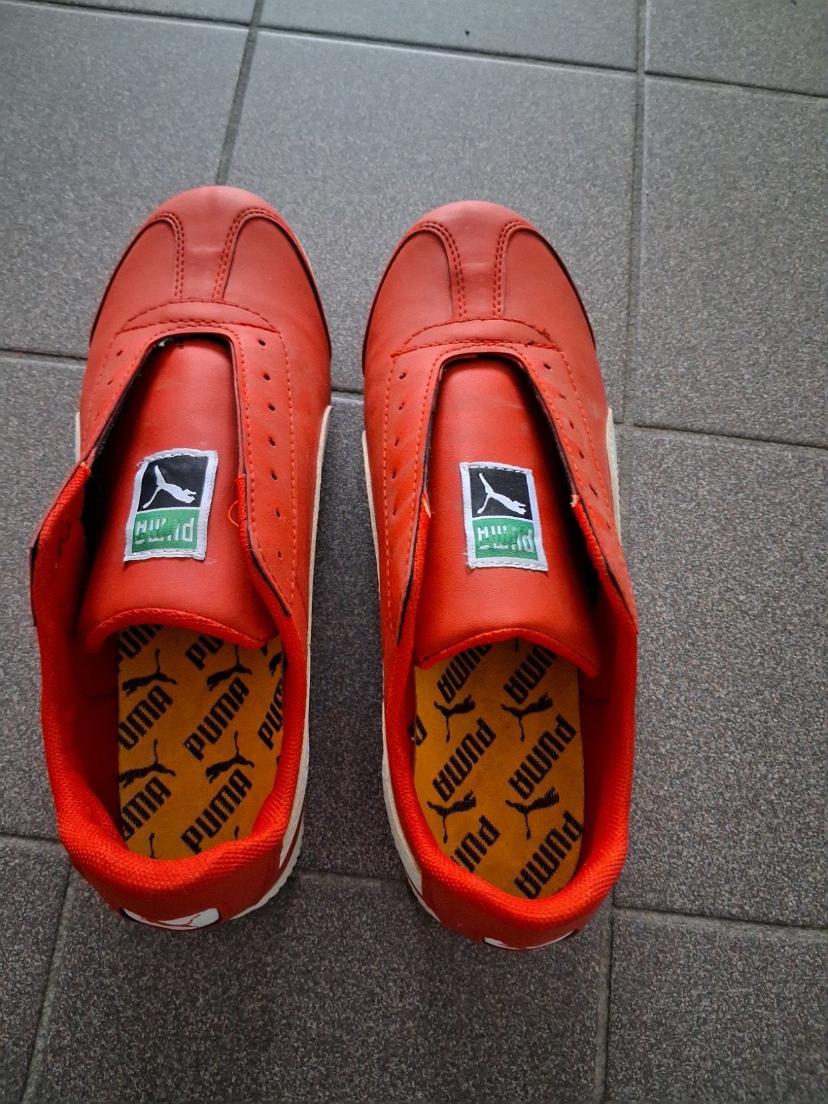 puma roma . Nieuwe, Ophalen