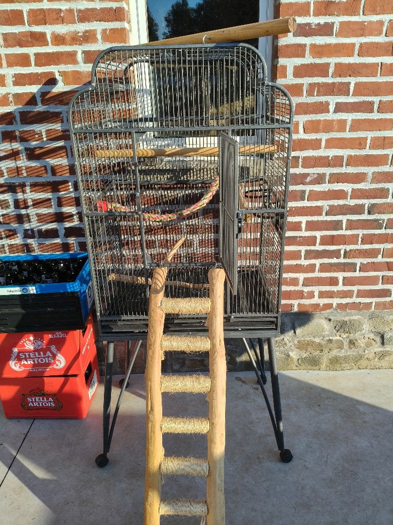 Papegaai kooi, Dieren en Toebehoren, Ophalen, Gebruikt, Vogelkooi