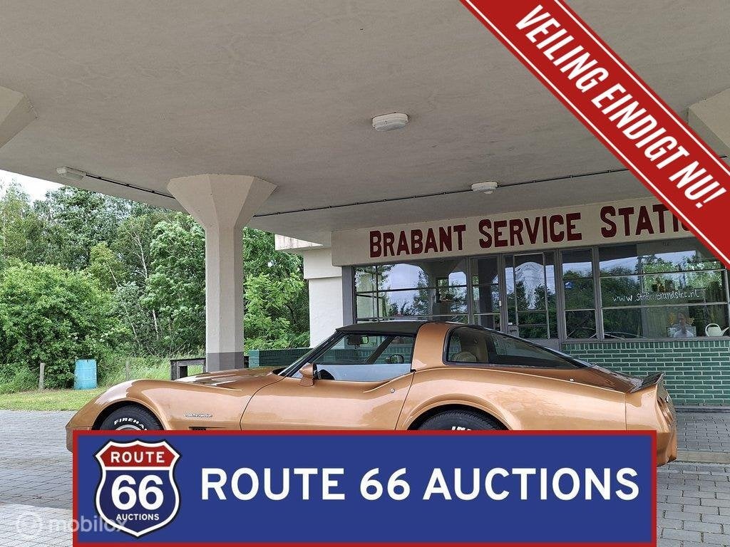 Chevrolet Corvette C3 | 1982 | Route 66 Auctions, Achat, Entreprise, Chevrolet, Boîte manuelle