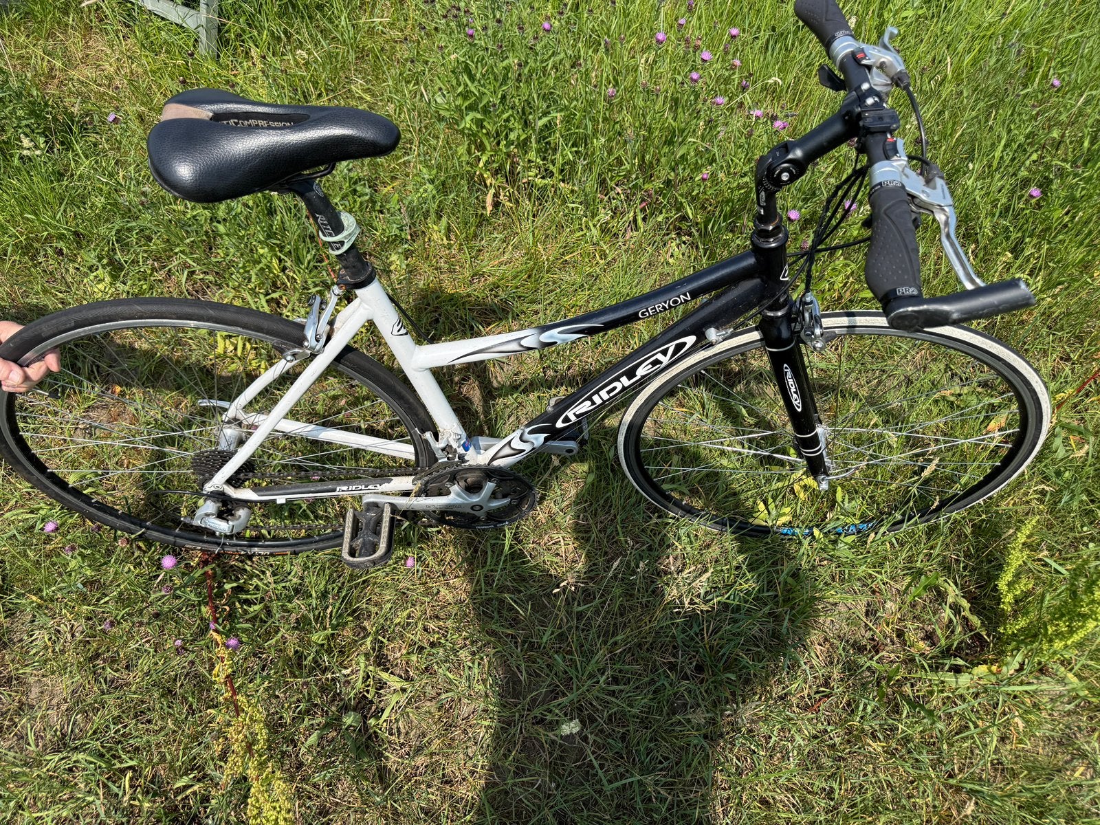 Riley Geryon maat 50, 49 tot 53 cm, Ophalen, Gebruikt, Velgrem