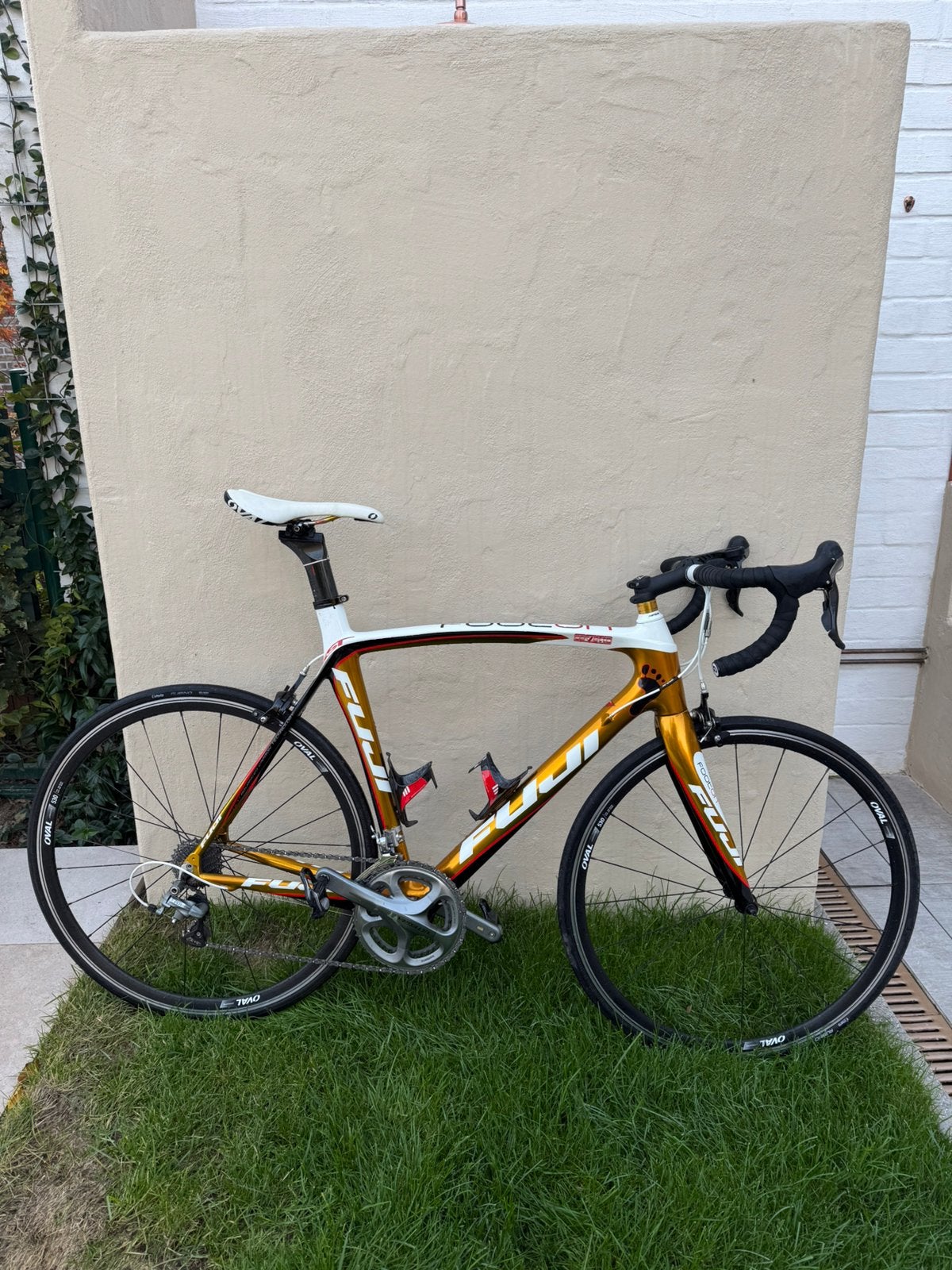 Fuji racefiets. Ideale fiets voor beginnende wielertoerist., Fietsen en Brommers, Ophalen, 28 inch, Gebruikt, Carbon