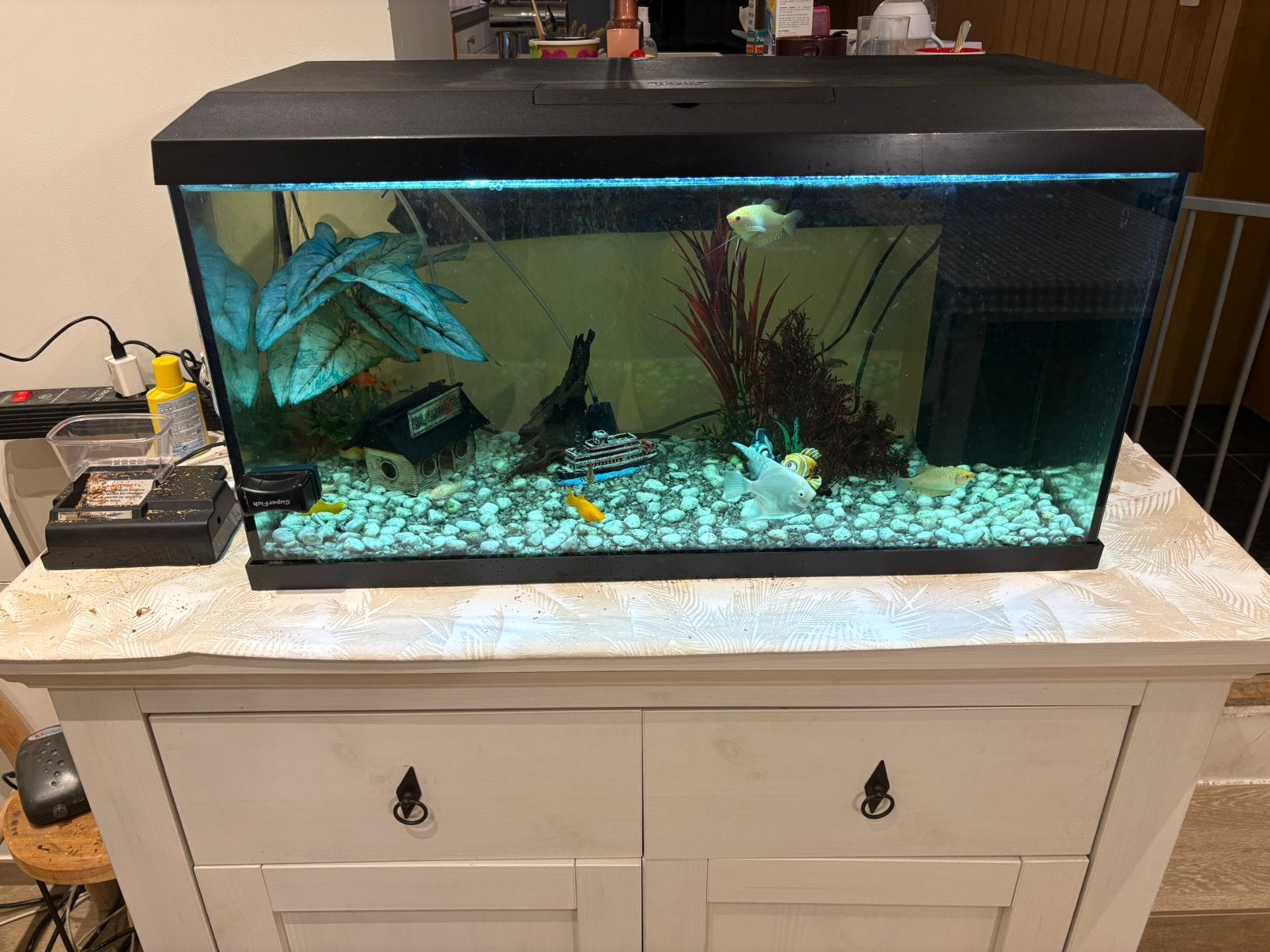 Aquarium met alles te koop, Dieren en Toebehoren, Ophalen, Zo goed als nieuw
