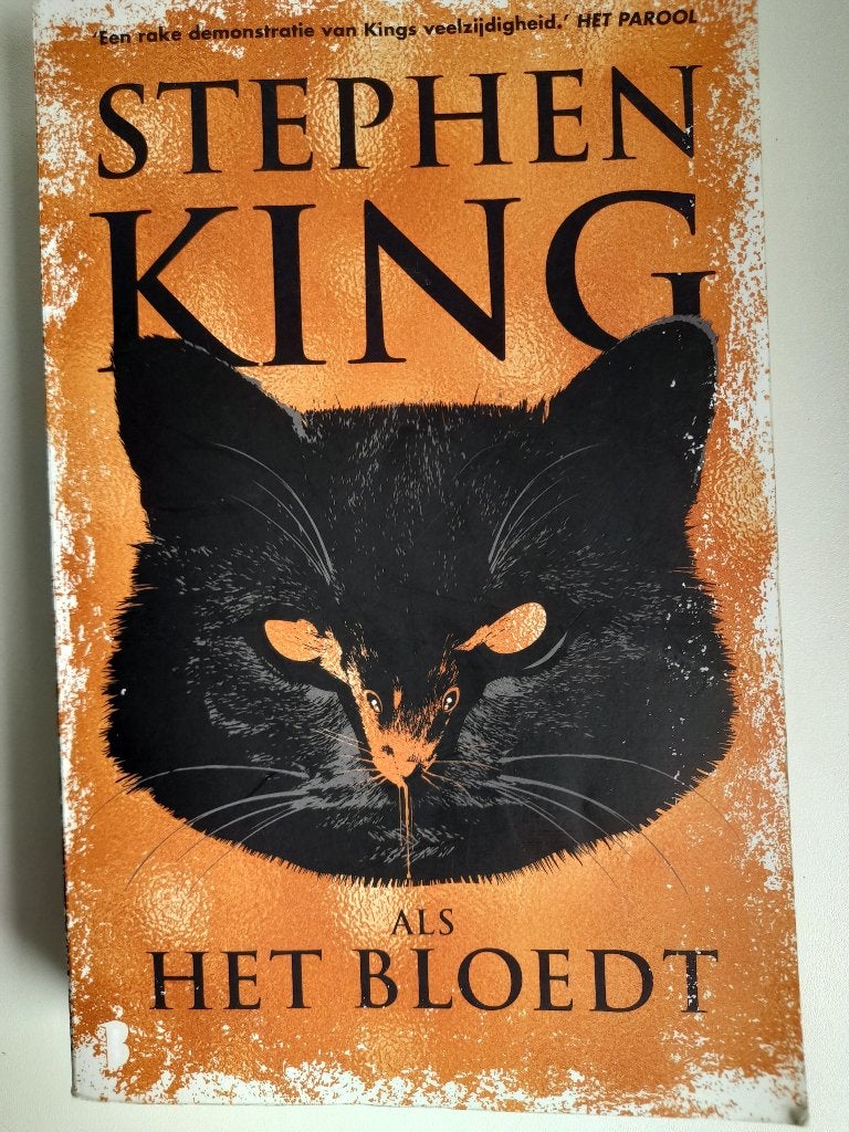 Stephen King: 21 boeken, Boeken, Fantasy, Zo goed als nieuw, Ophalen of Verzenden