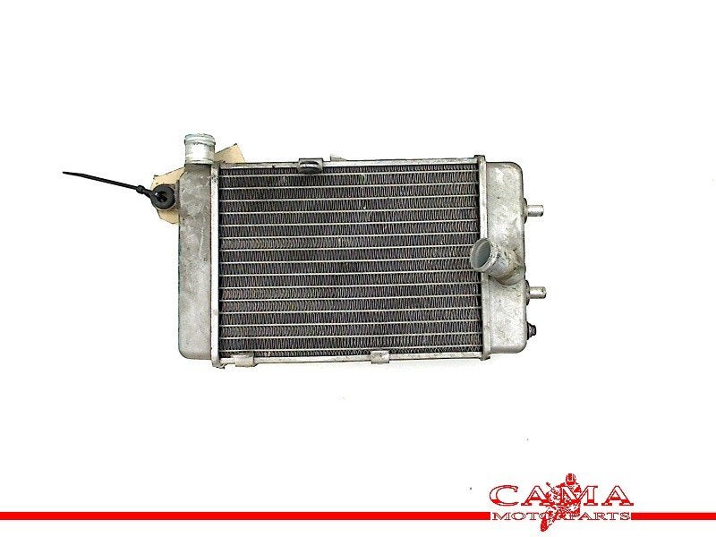 RADIATEUR Aprilia RSV 1000 (R) Mille 1998-2003 (RSV1000), Motoren, Dhr. S. di Majo, Gebruikt, Info@cama-motorparts.nl, P.J. Troelstraweg 8 8
3144 CX  MAASSLUIS, NL