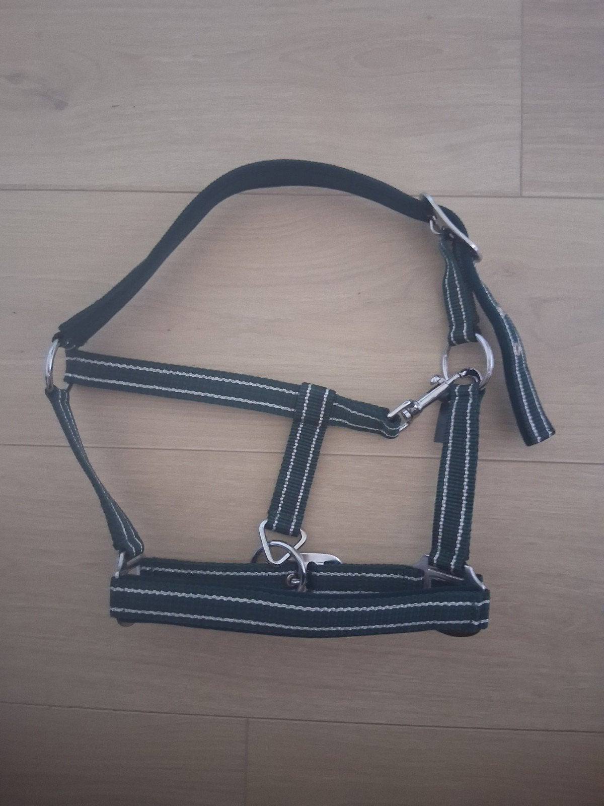 Halster pony, Ophalen, Shetlander, Recreatie, Nieuw