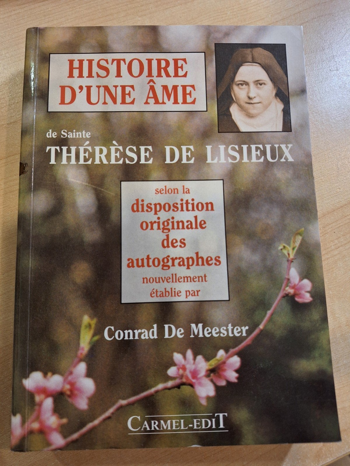 L'Histoire d'une dame de sainte Thérèse de Lisieux selon la, Enlèvement ou Envoi, Comme neuf, C. DE Meester