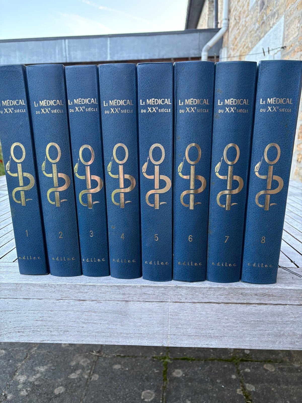 Livre ancien, Livres, Enlèvement, Comme neuf