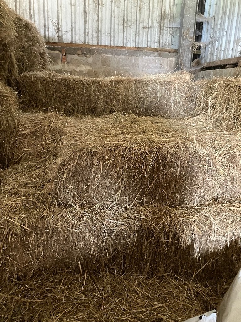 hooi, Dieren en Toebehoren, Dierenvoeding, Ophalen