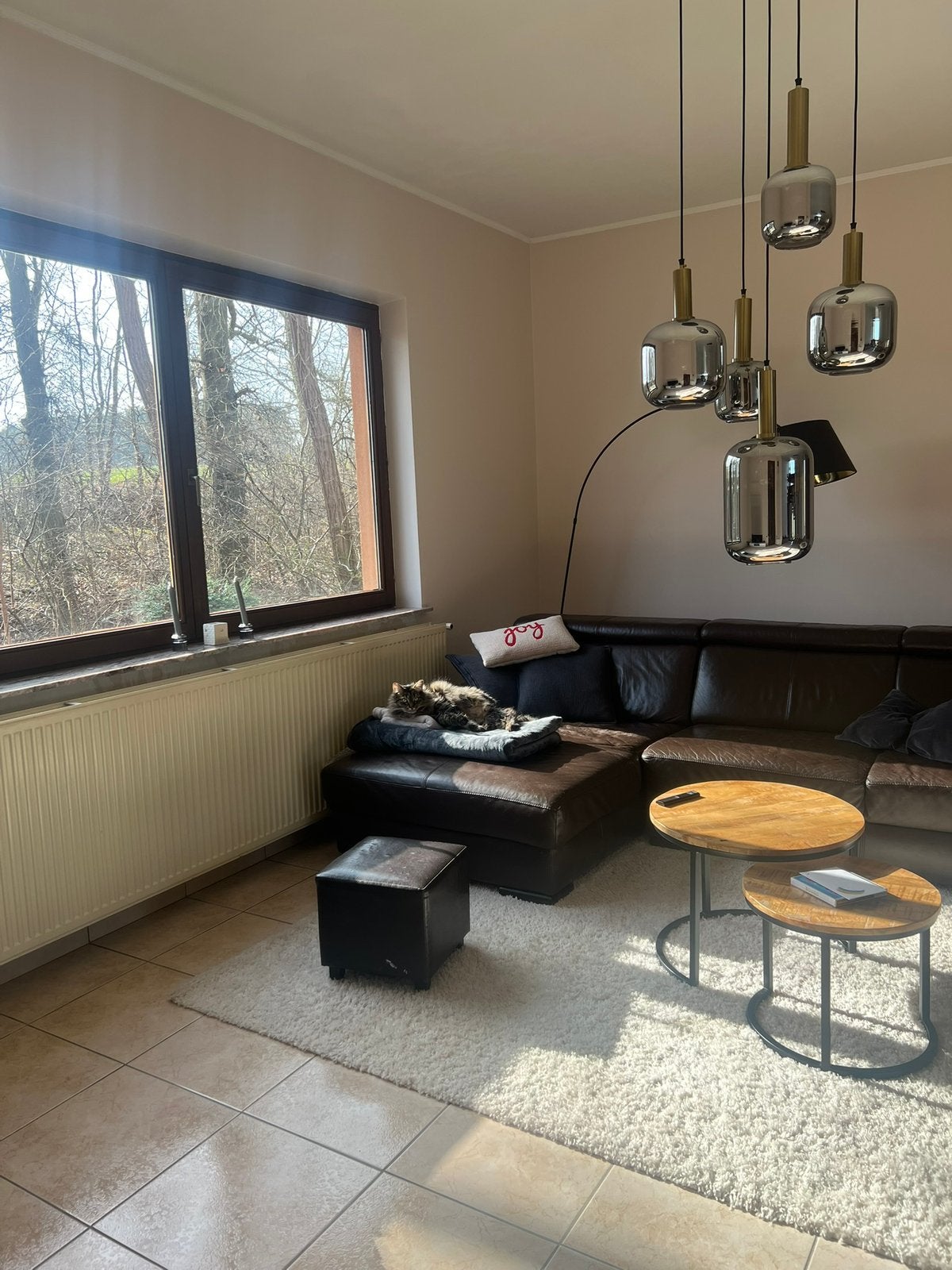 Gratis af te halen: Donkerbruine lederen hoekzetel / lounge, Immo
