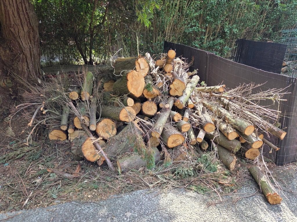 Bois, Enlèvement