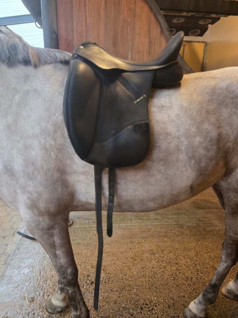 Wintec zadel 17", Dieren en Toebehoren, Ophalen of Verzenden, Gebruikt, Dressuur