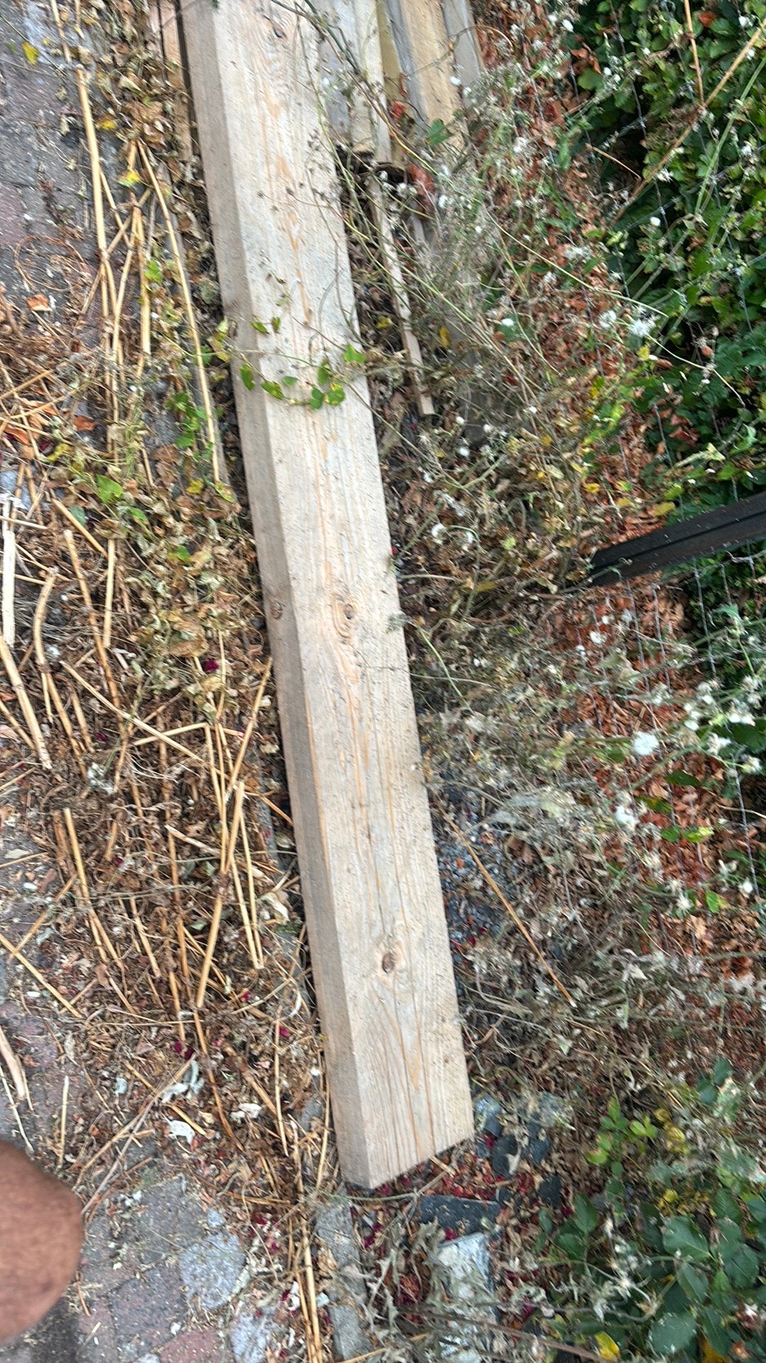 Timmerhout 200x80 op 4m 10 stuks, Ophalen, Zo goed als nieuw