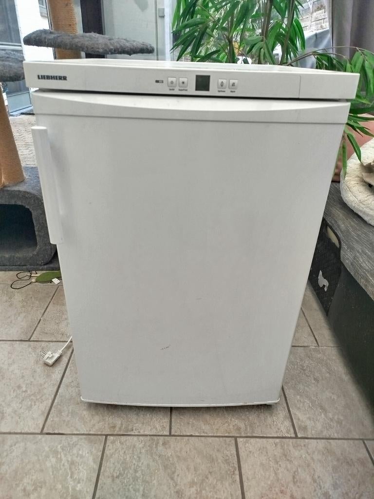 Liebherr diepvriezer, Elektronische apparatuur, Vriezers en Diepvrieskisten, Ophalen