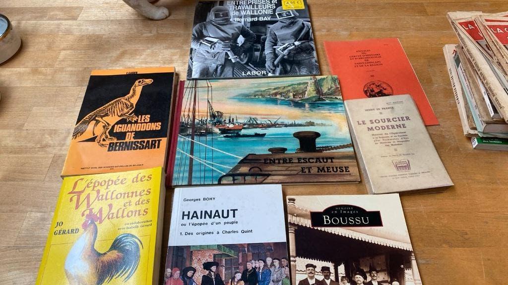 Ancien livres sur le Borinage, Livres, Enlèvement ou Envoi