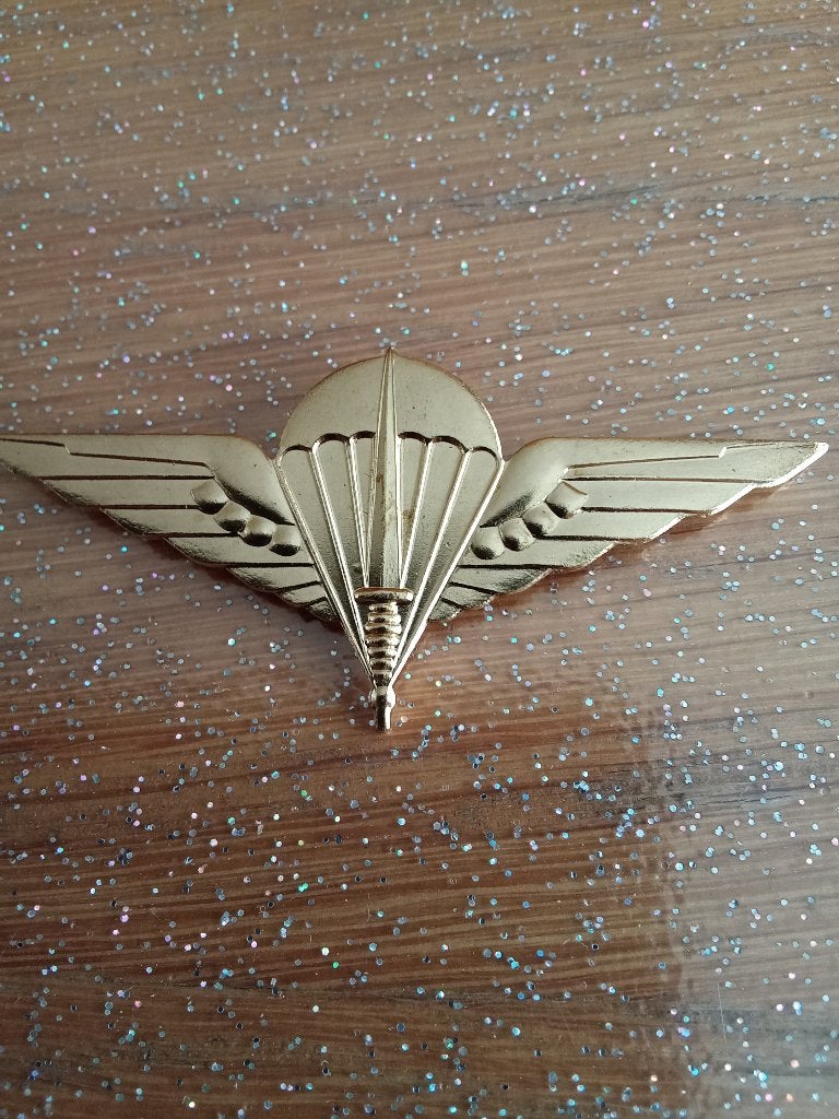 Insigne de béret para commando en bronze, Collections, Envoi
