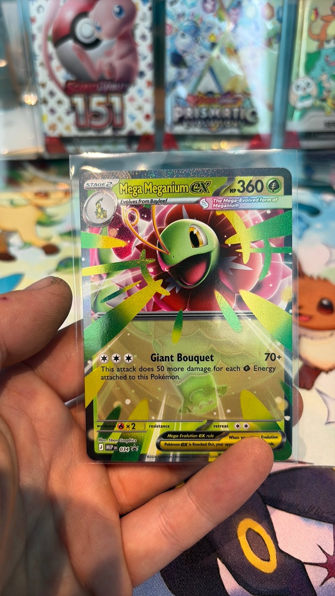 Promotion de Mega Meganium Ex Ascended Heroes, Enlèvement, Comme neuf