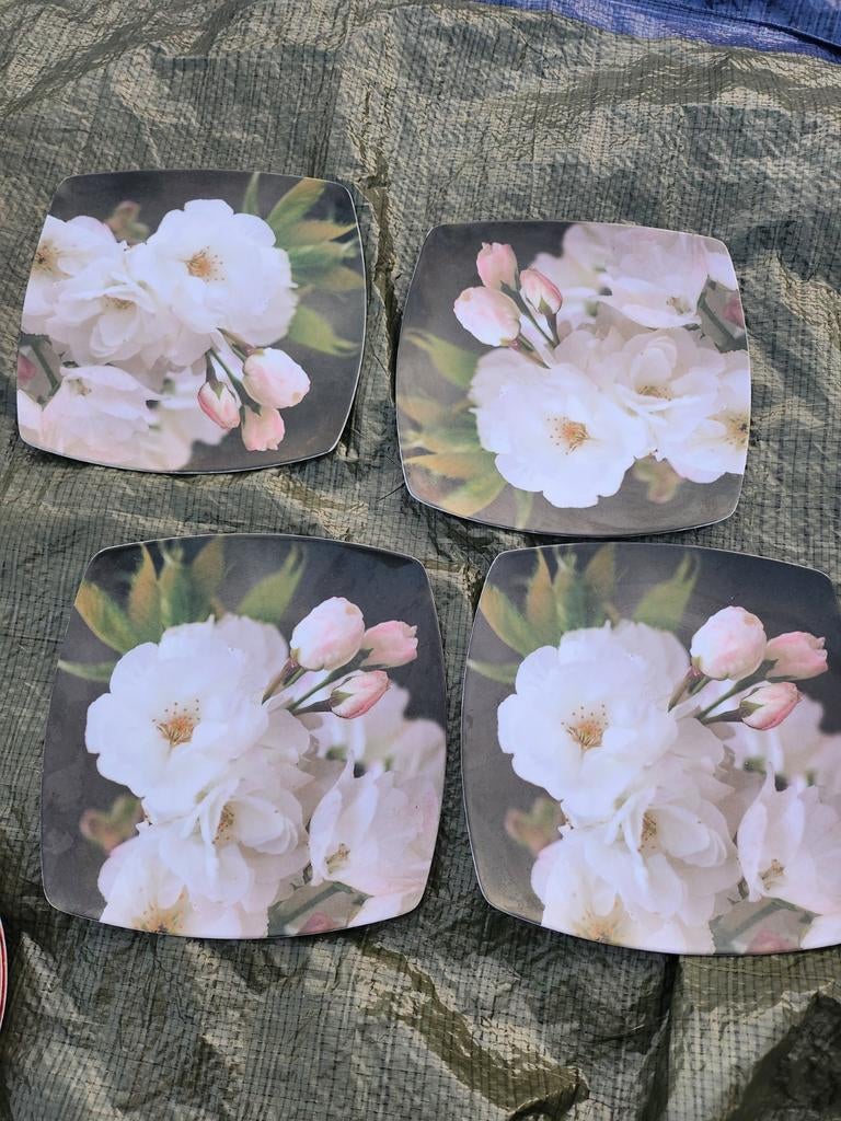 Set van 4 plastic borden, Ophalen of Verzenden