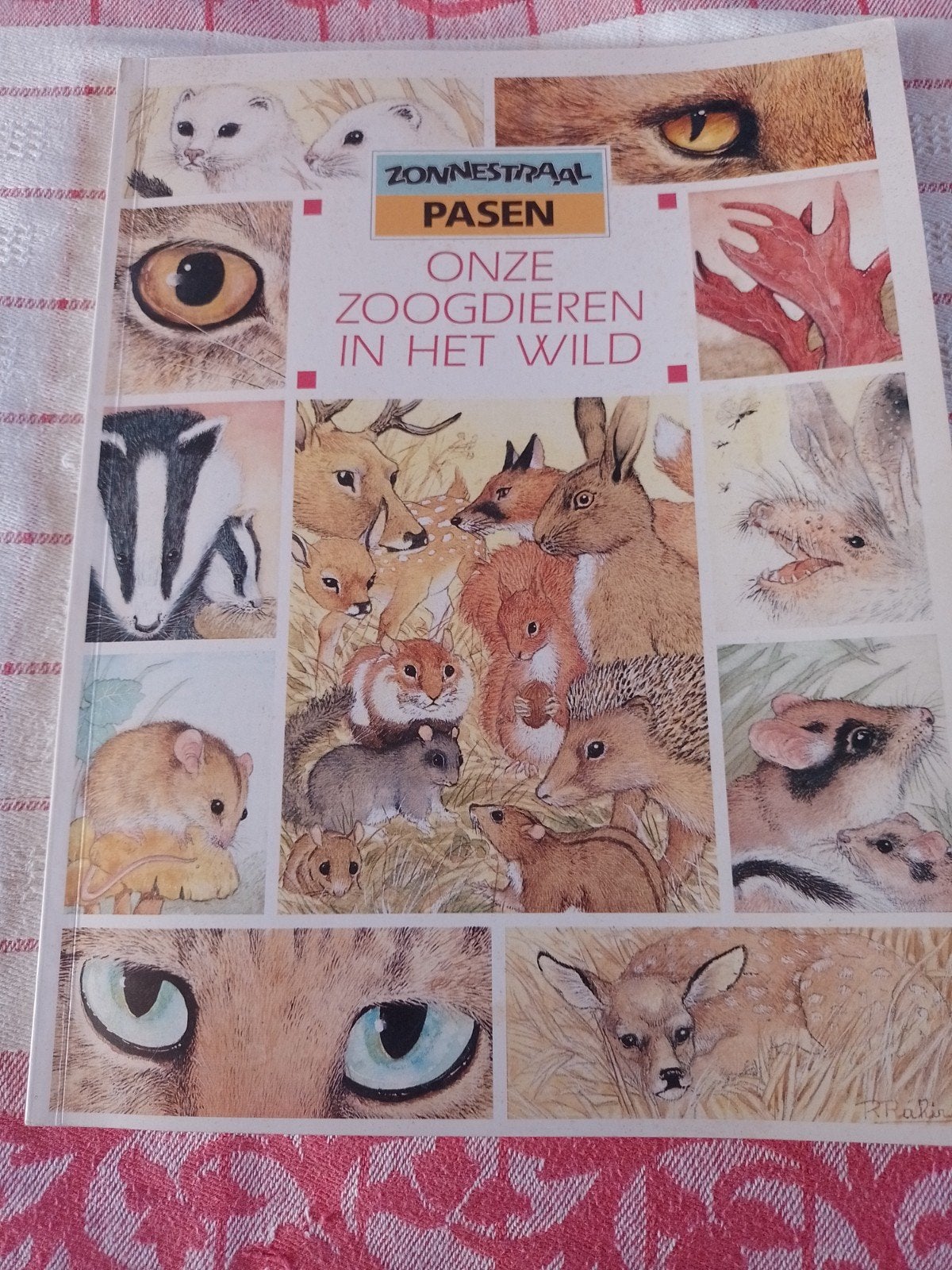 zonnestraal Pasen extra editie, Boeken, Ophalen of Verzenden