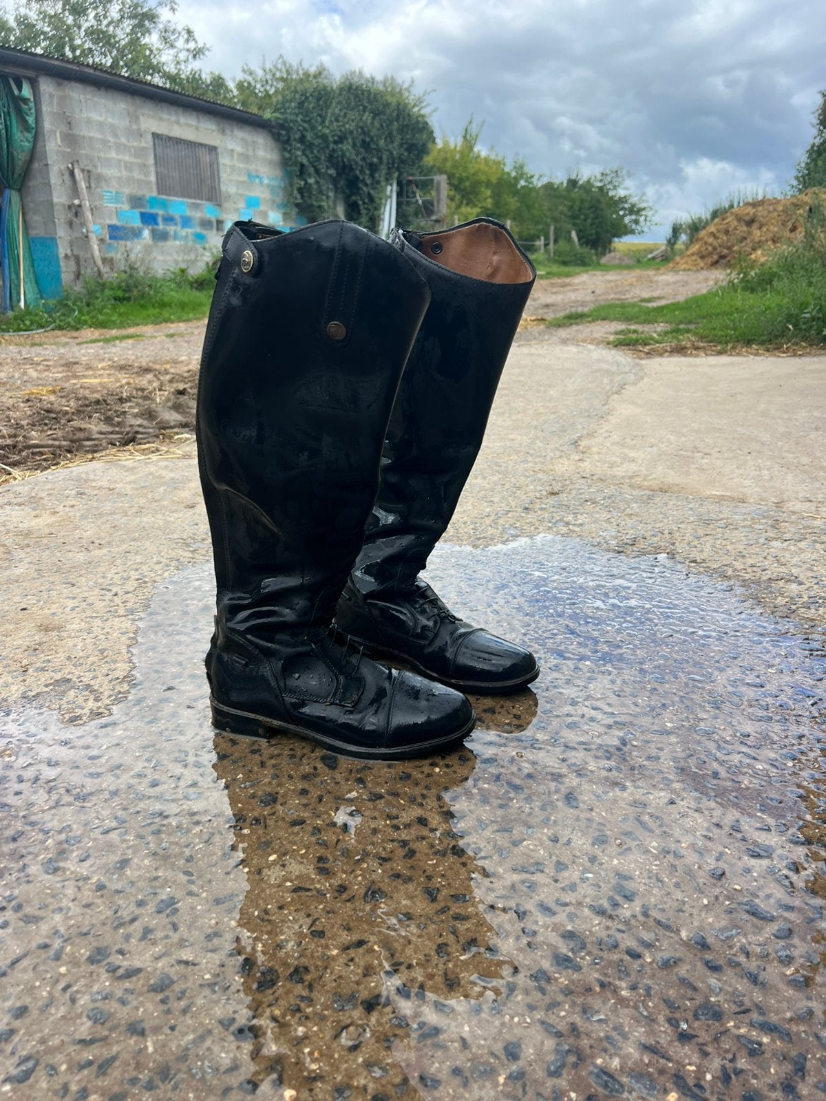 Botten zwart, Animaux & Accessoires, Vêtements d'équitation, Horka, Noir, Comme neuf, Enlèvement