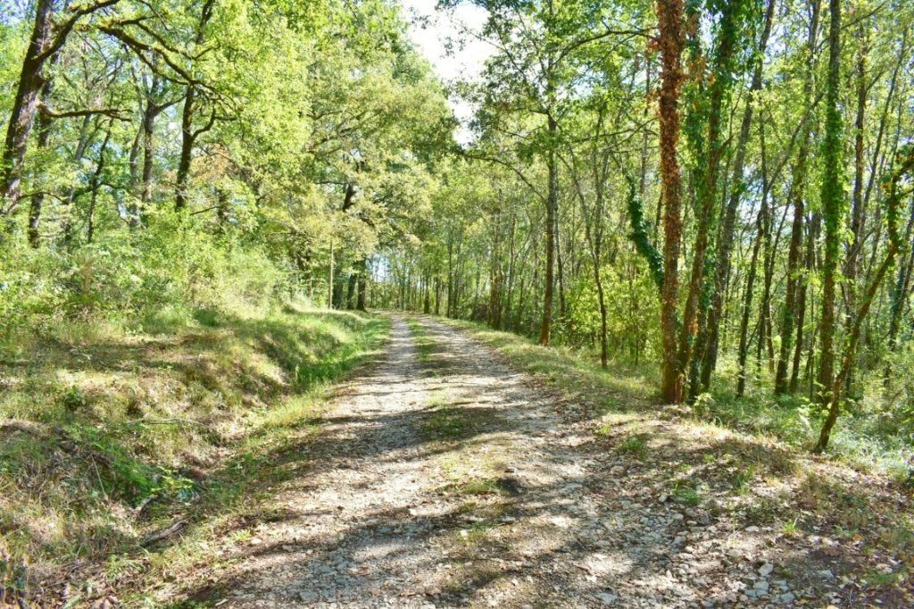 LOT 46 - Panoramisch uitzicht, zwembad, 12 Ha, geen buren, 8 kamers, Frankrijk, Woonhuis, 340 m²